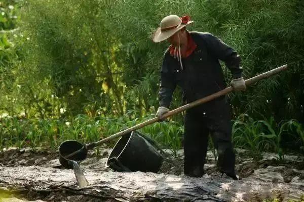 微信图片_20200330110833.jpg