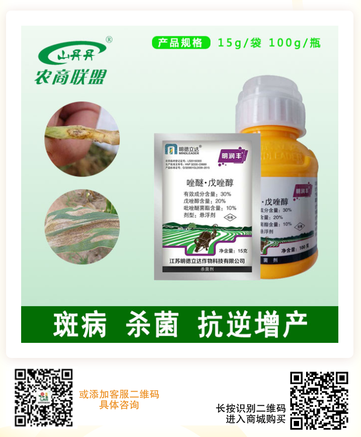 微信图片_20201114101416.png