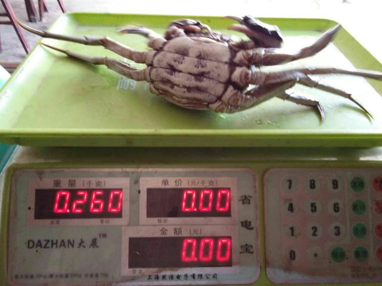 大闸蟹