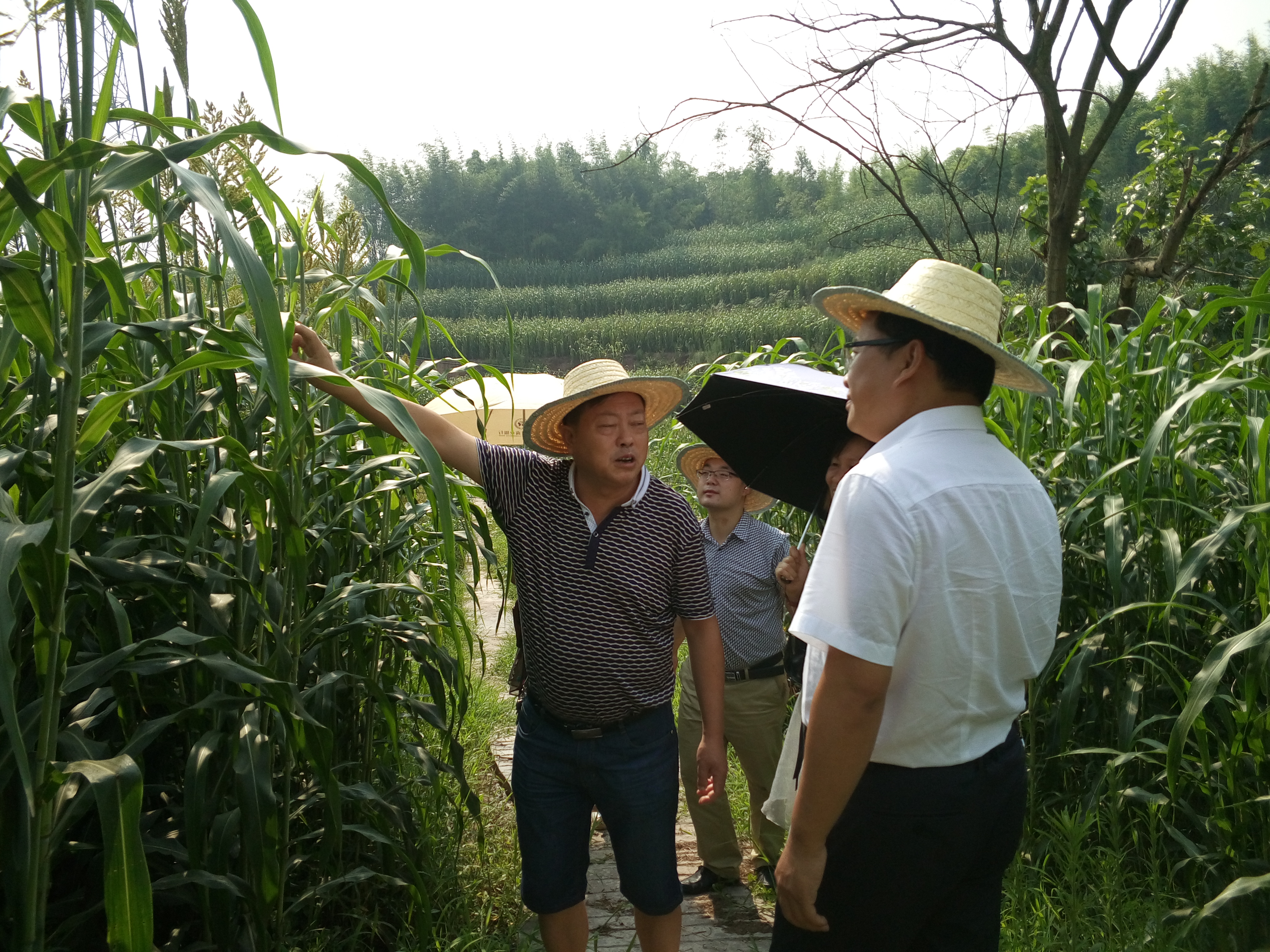 专家领导基地指导