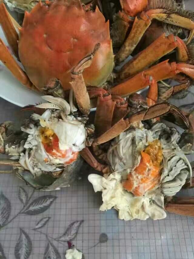 大闸蟹