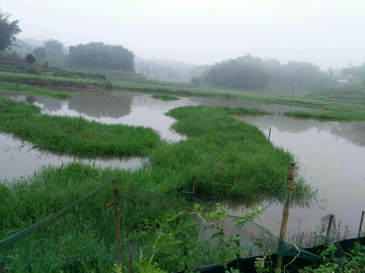 大闸蟹生存环境