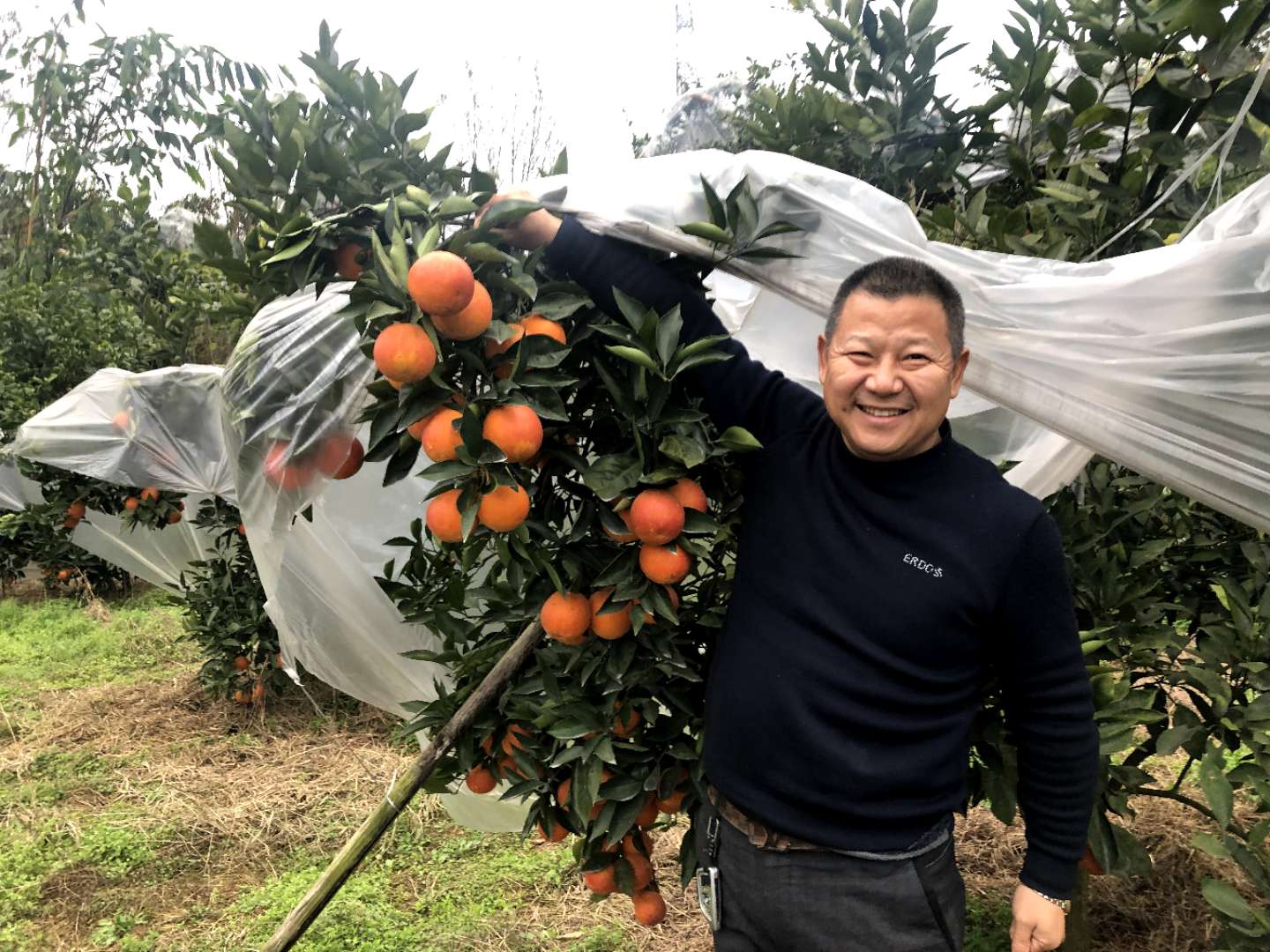 江安县名优养殖农民专业合作社