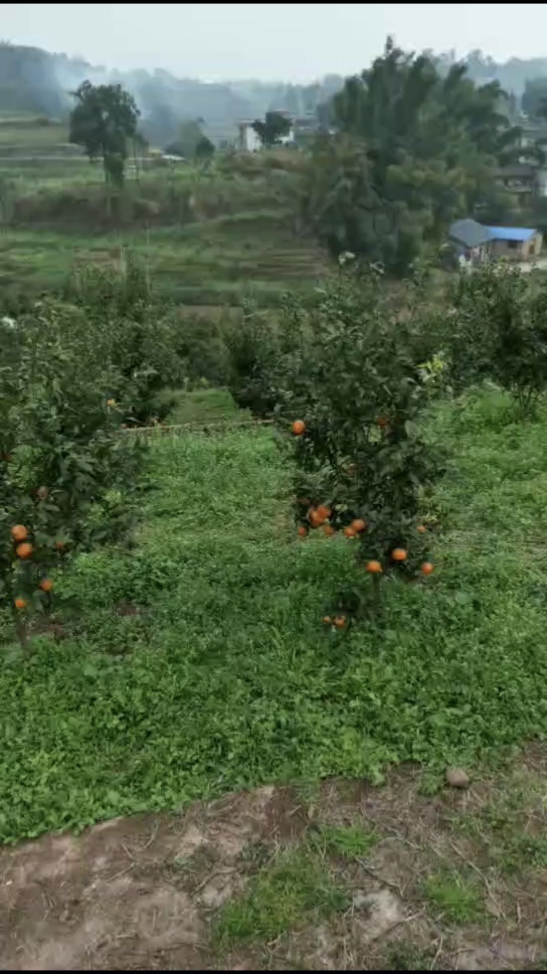 江安县迎安新时代种养殖有限公司