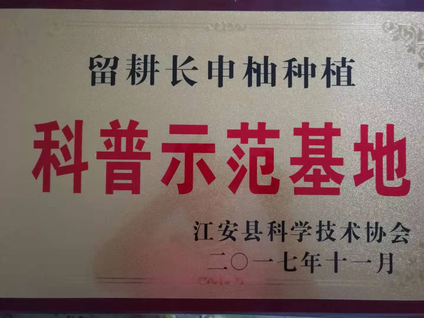 科普示范基地