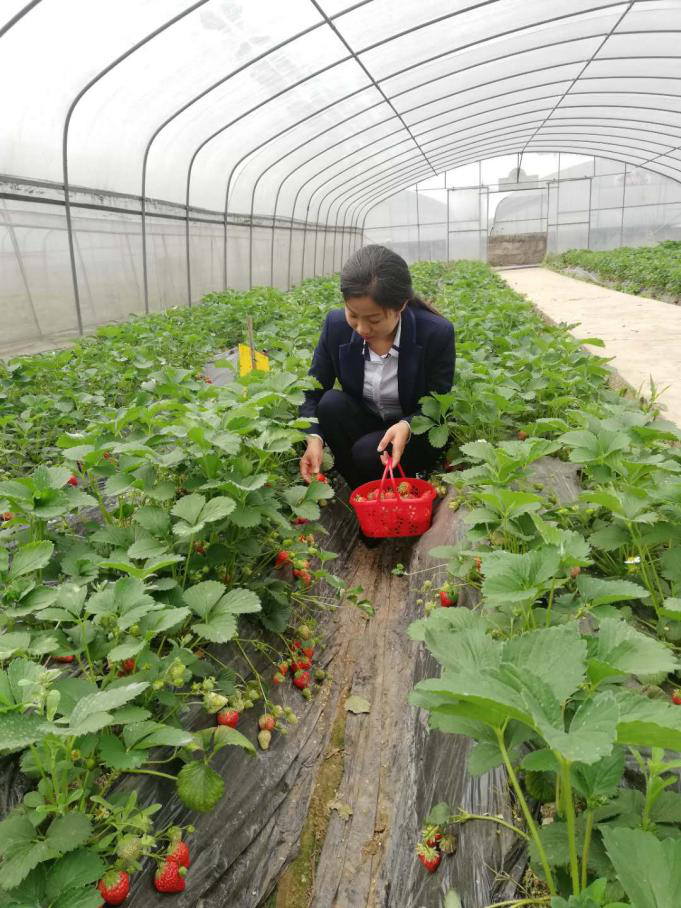 江安县水清镇鸿瑞蔬菜种植专业合作社