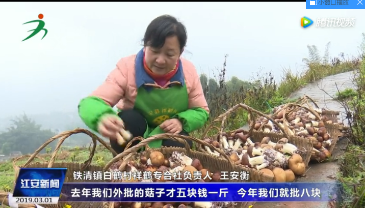 江安县翔鹤种植专业合作社