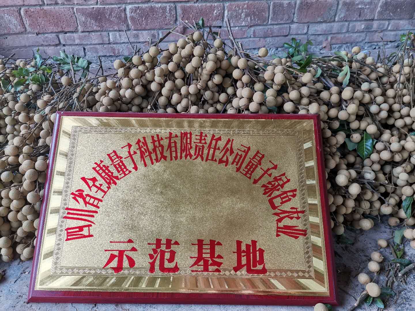 绿色农业示范基地