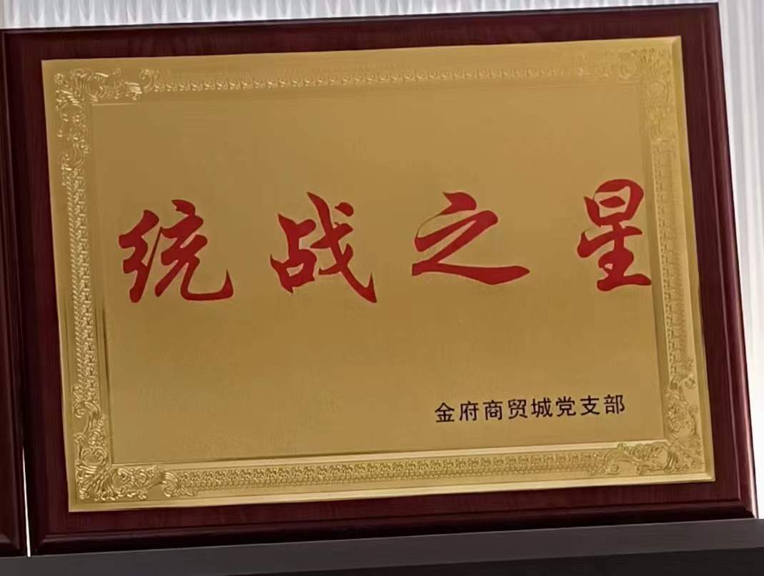统战之星
