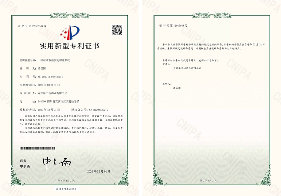 专利2