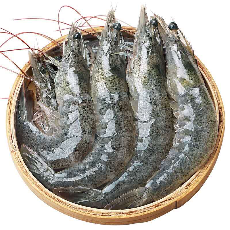 鲜活北对虾